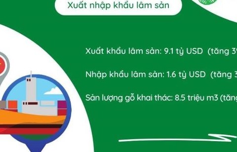 Xuất khẩu lâm thổ sản đứng trước nỗi lo thiếu đơn hàng
