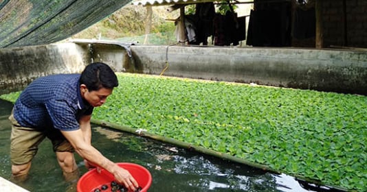 Nuôi động vật ăn hết những thứ chúng vứt đi, bỏ túi hàng trăm triệu đô la mỗi tháng