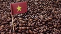 Dư địa cho cà phê Việt Nam tại thị trường Trung Quốc