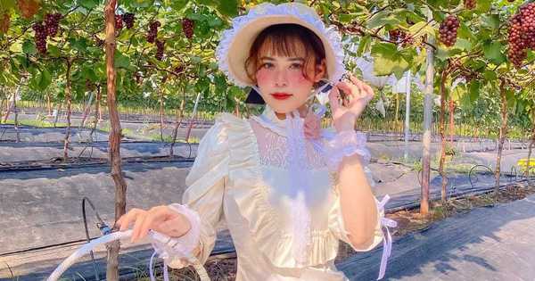 Trải nghiệm hái nho tại vườn ngay tại Hà Nội