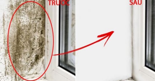 Tường nhà bị mốc, đen, hãy sử dụng cách giản dị và tiết kiệm này để làm tinh khiết chỉ trong 5 phút