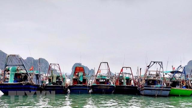 Bão số 2 tiếp cận Quảng Ninh, trong nhị ngày tới, Bắc Bộ sẽ mưa to.