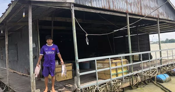 Nuôi bè, thăng trầm như nước