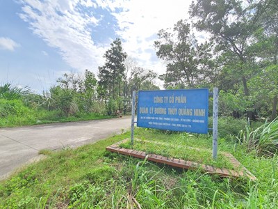 Khởi tố 3 bị can tổ chức cổ phần Quản lý đường thủy Quảng Ninh