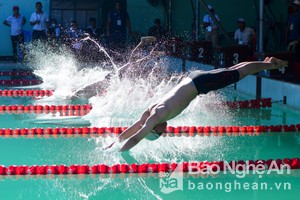 Thành phố Vinh giành được hầu hết các huy chương vàng môn bơi lội tại Đại hội TDTT tỉnh