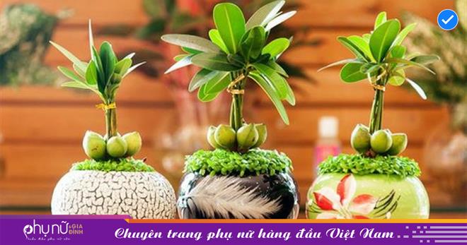 Trúng ngay 3 loại cây cảnh ưa thích với 3 cung hoàng đạo sau đây để rước Thần tài về nhà, sung túc, phú quý cả đời