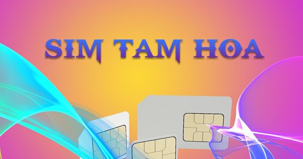 13 tiết lộ thú vị về sim Tam Hoa 8/10 người chưa biết