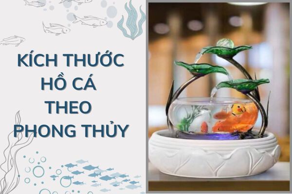 cụ thể kích thước bể cá phong thủy đúng đắn nhất