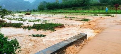 Mưa to nhiều nơi, nguy cơ sạt lở đất rất cao.