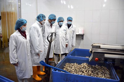 phái mạnh Định vươn lên làm giàu từ đại dương