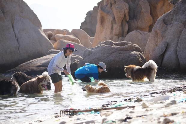 Một phụ nữ Hà Nội cùng các con rời thành phố xuống biển dọn rác và thành lập nhóm thiện nguyện 