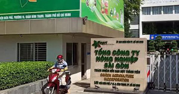 Bộ Tài chính replay kiến ​​nghị của cử tri TP.HCM về sự việc sắp xếp nhà đất