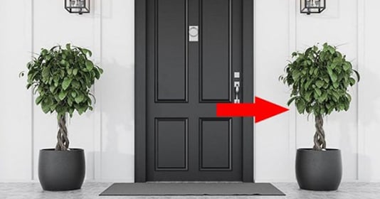 2 vị trí đặt cây cảnh tuy xinh nhưng rất hại cho gia đình, hao tài, tán lộc.