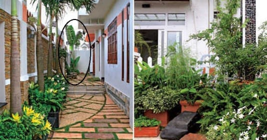 4 cây trồng trước nhà ko đọng lại cũng tàn, trồng sau để giữ tài sản, con cháu nên nhớ