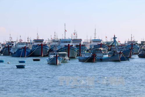 Khắc phục tồn tại trong quản lý khai thác tàu cá