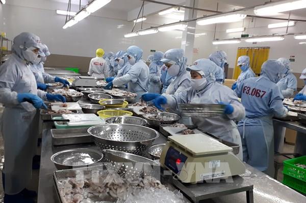 Nông nghiệp theo đuổi mục tiêu xuất khẩu 50 tỷ USD