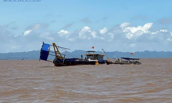 UBND TP Hải Phòng thông tin về tình trạng hoạt động nuôi ngao của những hộ dân