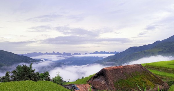 ngờ ngạc ngắm làng rêu ‘ẩn hiện trong mây’ ở Hà Giang