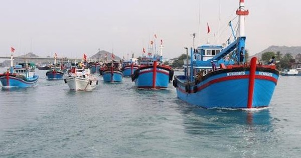 Để gỡ “Thẻ vàng” khai thác thủy sản, Chính phủ phê duyệt Đề án phòng, chống tiến công bắt trái phép