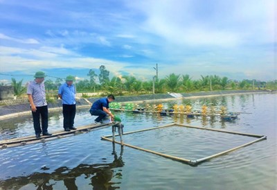 Nuôi trồng thủy sản thích ứng với chuyển đổi khí hậu