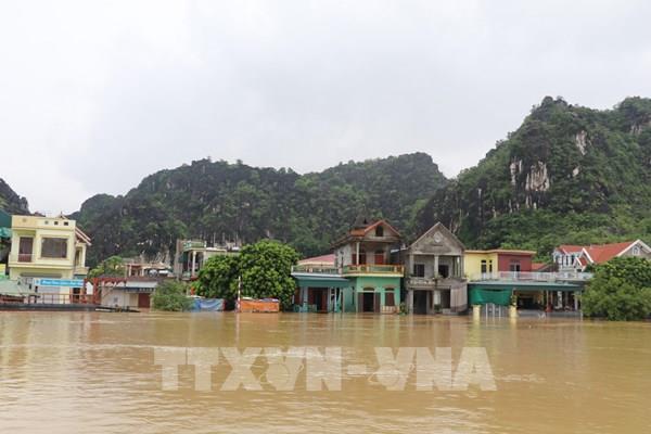 Nhiều diện tích hoa màu sắc, thủy sản bị xúc tiến do mưa lũ