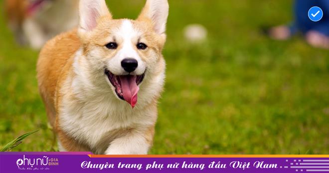 5 dấu hiệu minh chứng ngôi nhà mang ko ít phúc khí, tương lai thịnh vượng