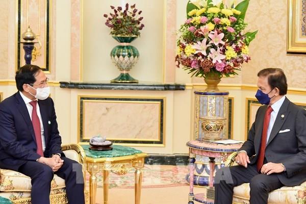 việt nam giới nam giới và Brunei hợp tác bên trên nhiều lĩnh vực