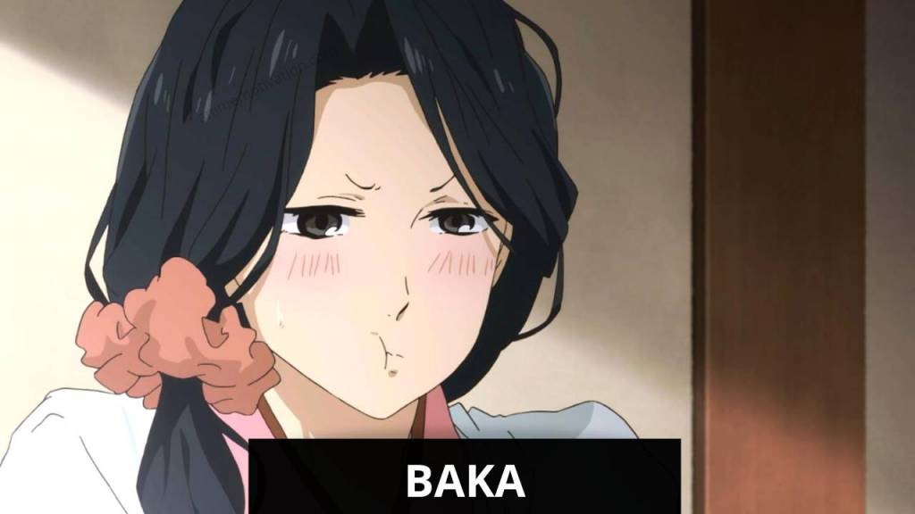 Ưu và điểm yếu kém của việc vi phạm phiên bản quyền anime nhưng mà ngành công nghiệp ghét
