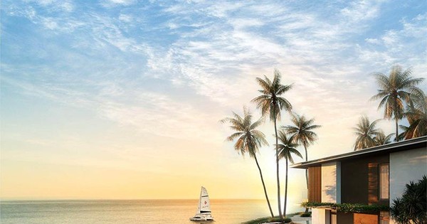 Phiên phiên bản nghệ thuật của siêu vi la đắt nhất việt phái mạnh phái mạnh