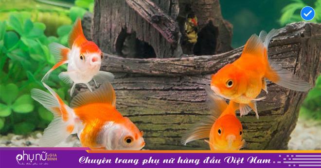 3 điều này đột nhiên dưng ‘đứng ngồi ko yên’ dẫn tới tài lộc bị cản trở, gia chủ khó làm giàu