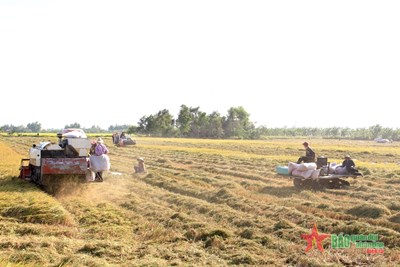 Cơ giới hóa đồng bộ, dễ hay khó?