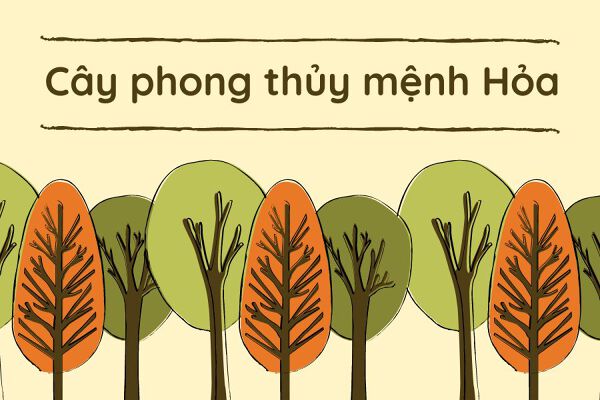 Hé lộ cây phong thủy mệnh Hỏa giúp ‘rước’ tài, ‘đón’ vận may vào nhà