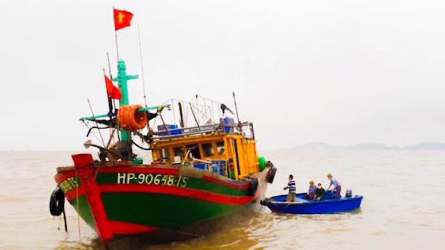 Hải Phòng quyết liệt chung tay gỡ “thẻ vàng” hải sản