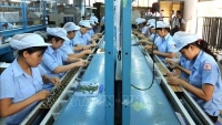 Công ty Chứng khoán ASPS khen ngợi những lợi thế của thị trường Việt Nam