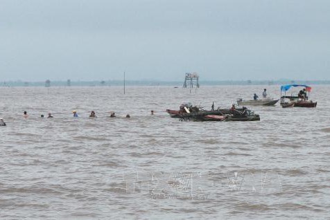 Hải Phòng “xóa” vùng nuôi ngao tự phát, trả lại ngư trường truyền thống