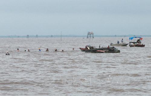 Hải Phòng ‘xóa’ vùng nuôi ngao tự phát, trả lại ngư trường truyền thống