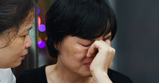 Ngậm hoa đỏ trong thời bình