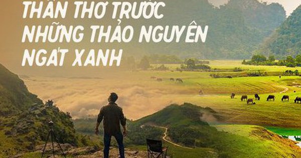 Những “miền thảo nguyên xanh” ở việt phái mạnh phái mạnh làm cho du khách lưu luyến ngay từ loại nhìn trước tiên