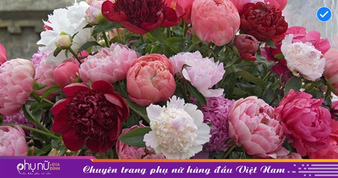 Gợi ý 6 loại hoa trang trí phòng khách mang nhiều ý nghĩa về tài lộc, tơ duyên, đỏ may mắn và phúc lành.