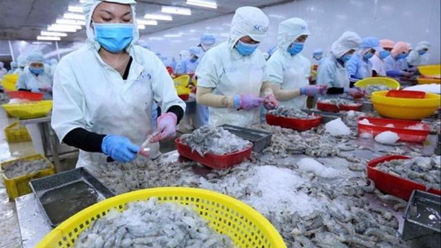 Xuất khẩu tháng 8 tăng 54% nhưng ngành thủy sản vẫn ko vui, vì sao?