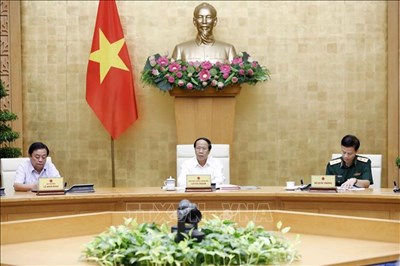Xử lý nghiêm những tình huống vi phạm IUU