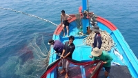 Xuất khẩu ngày 12 - 14/8: Ngành thủy sản đứng trước nguy cơ thiệt hại 500 triệu USD / năm vì thẻ vàng IUU;  Xuất khẩu cá tra sang Mexico khởi sắc