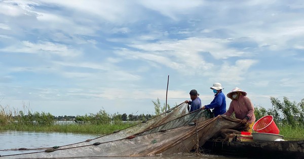 Người dân vùng thượng nguồn Long An đang ngóng trông ngày trở về của những người con