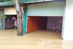 Nhiều hộ dân phường Bến Thủy bị ngập do nước sông Lam dâng cao